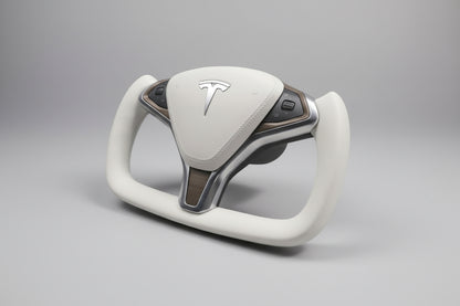 Tesla rat